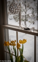 Wabi Sabi represents the imperfect and transience — withered tulips lean into a window overlooking a Winter landscape